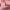 ژل اسکراب بدن حاوی عصاره شکوفه گیلاس آروماتیک